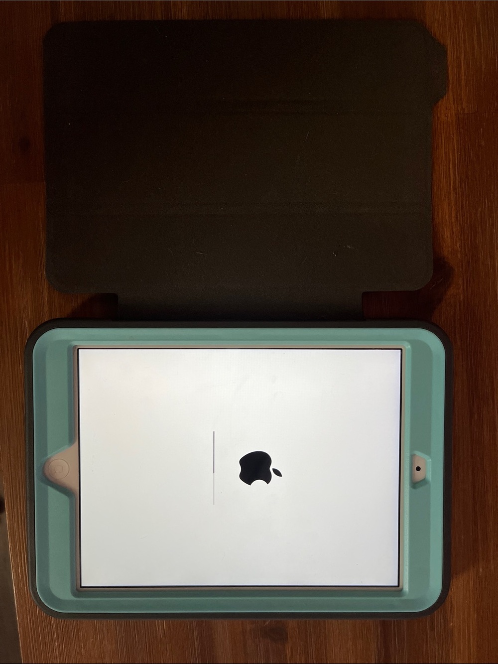 Apple iPad mini 2 White with Teal Protective Case